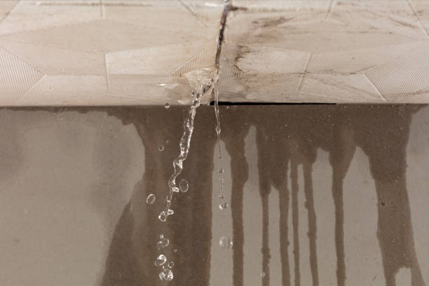 Professional Water Damage Repair technician working in Helotes, TX